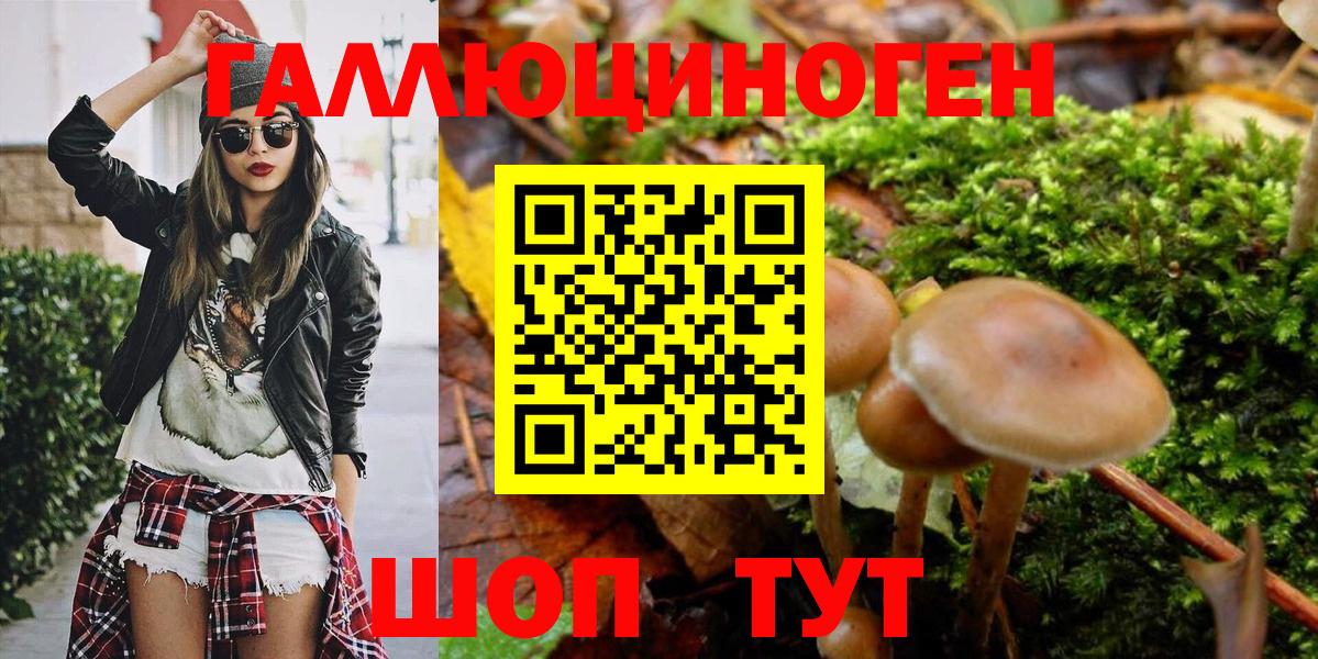 Галлюциногенные грибы Psilocybe  Вход с VPN  хочу наркоту  Галлюциногенные грибы Magic Shrooms  Назрань 